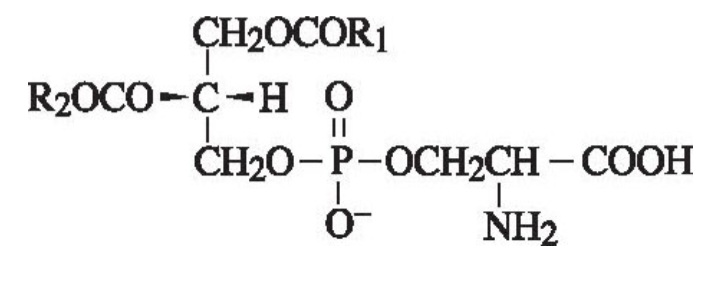 포스파티딜세린 화학구조