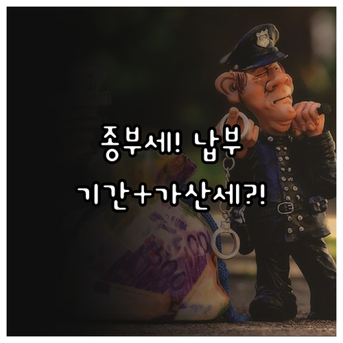 2025년 종합부동산세 납부 기간 가..