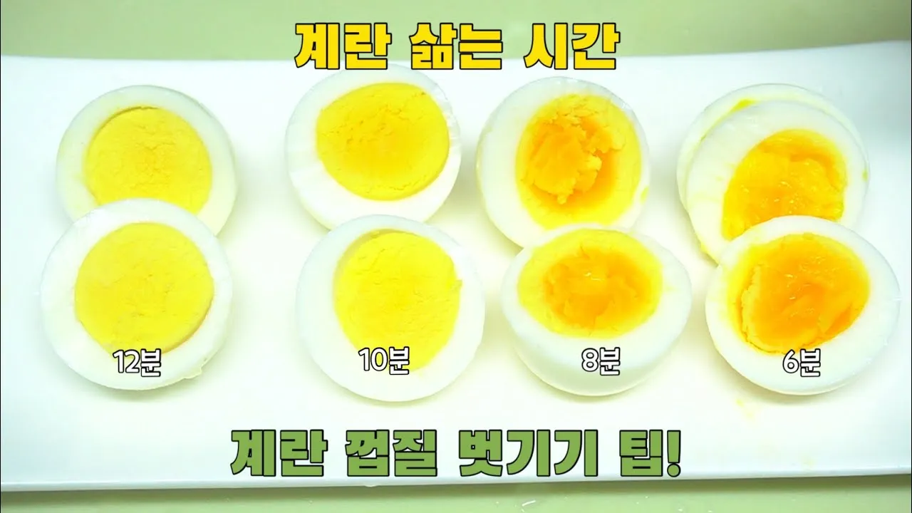 계란 삶는 시간 황금레시피_3