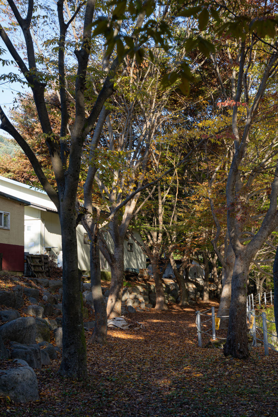 유명산 밸리 캠프장 호수