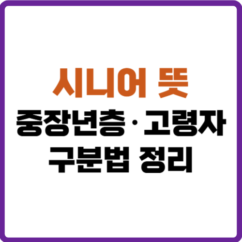 시니어 뜻