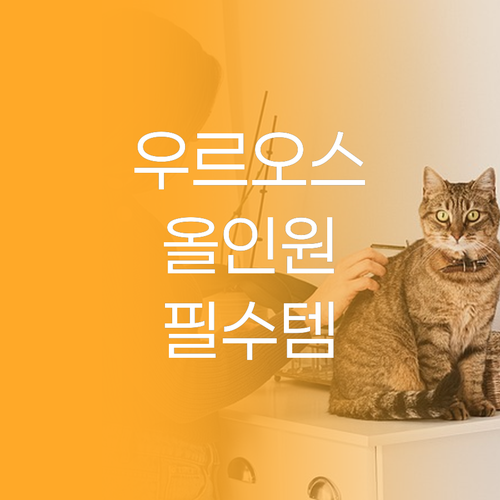 남자 피부 관리 필수템 우르오스 올인