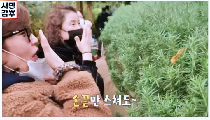 서민갑부 포천 허브 테마 농원 카페 레스토랑 위치 어디
