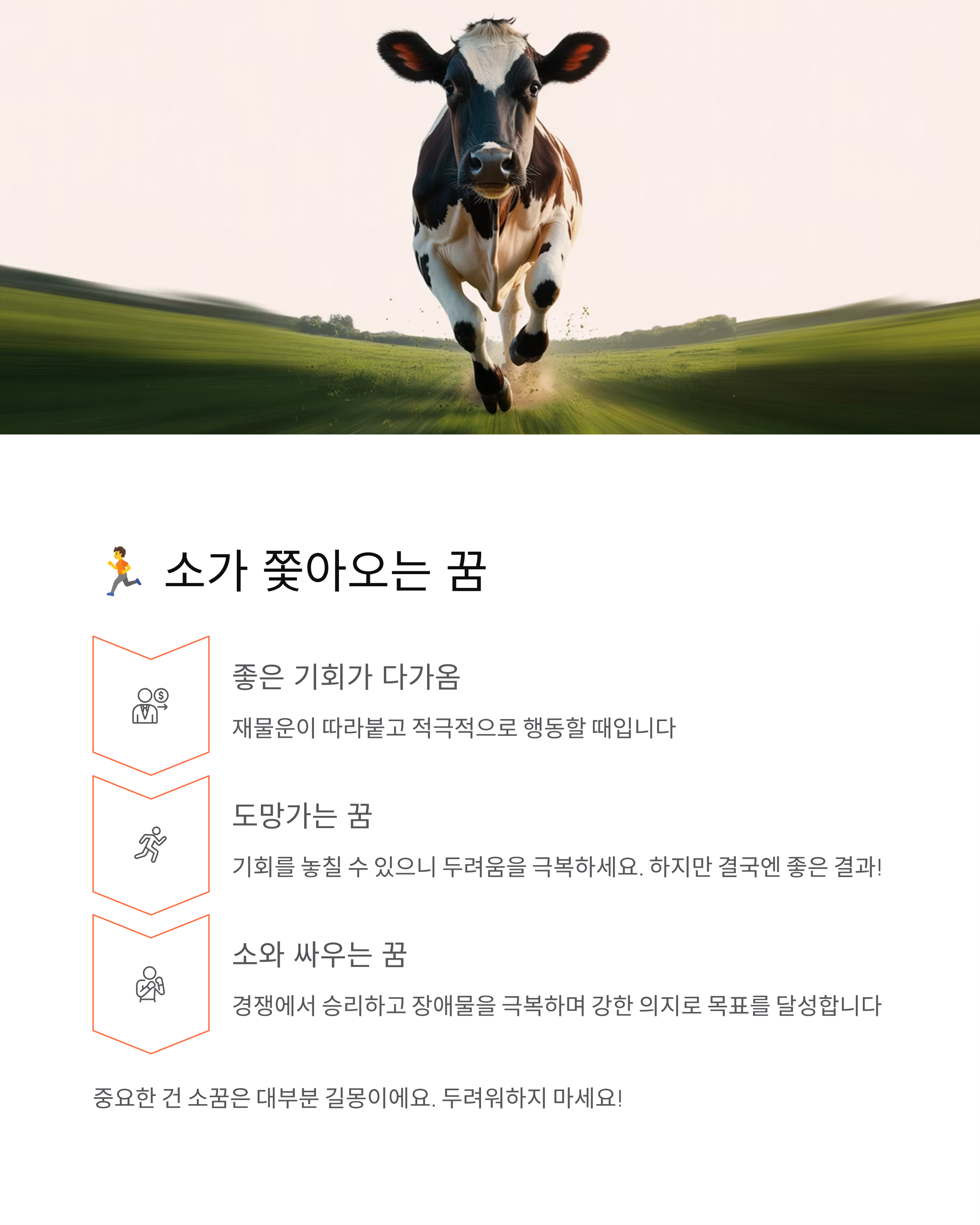 소꿈 해몽 완벽 정리 - 로또 당첨? 재물운? 태몽까지!