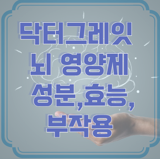 닥터그레잇 뇌 영양제