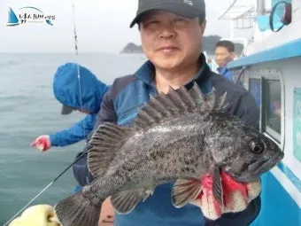우럭낚시 선상 초보 수중여 포인트 채비 엉킴 줄이는 정리법_23