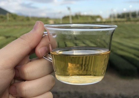 [복부팽만, 방귀 해결방법] 가스제거에 좋은 차, 운동, 생활습관