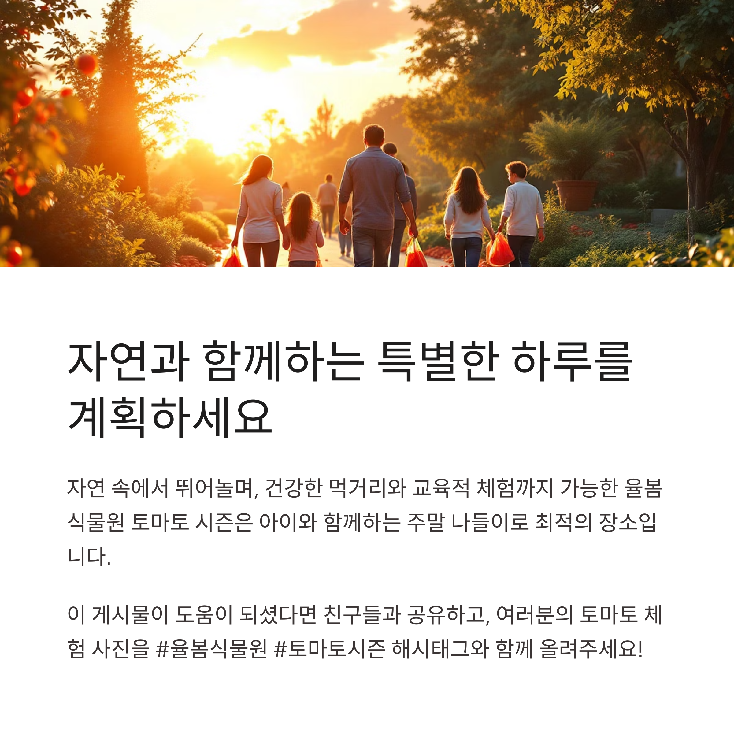 초여름 농장의 싱그러움, 율봄식물원 토마토 시즌 체험 가이드