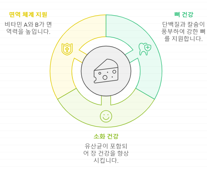 까망베르 이점