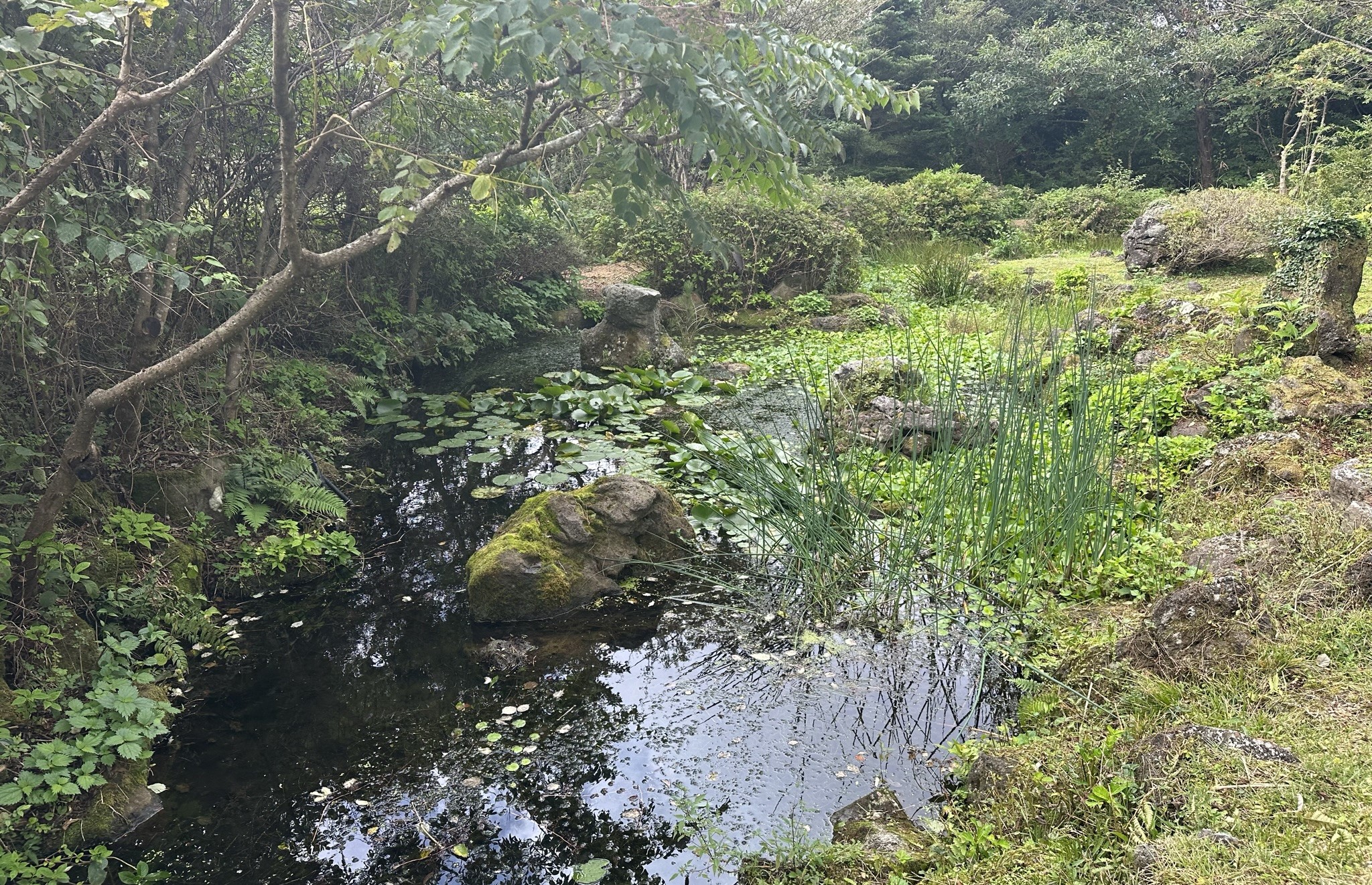 한라생태숲 암석원