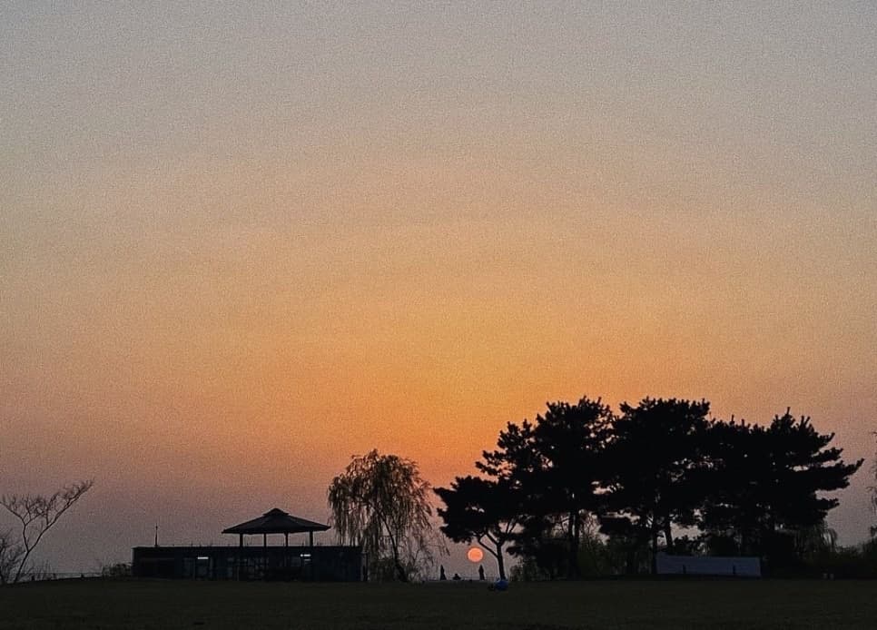 서울·경기 벚꽃캠핑장 추천 ❘ 봄날 감성 가득한 캠핑 명소 6곳