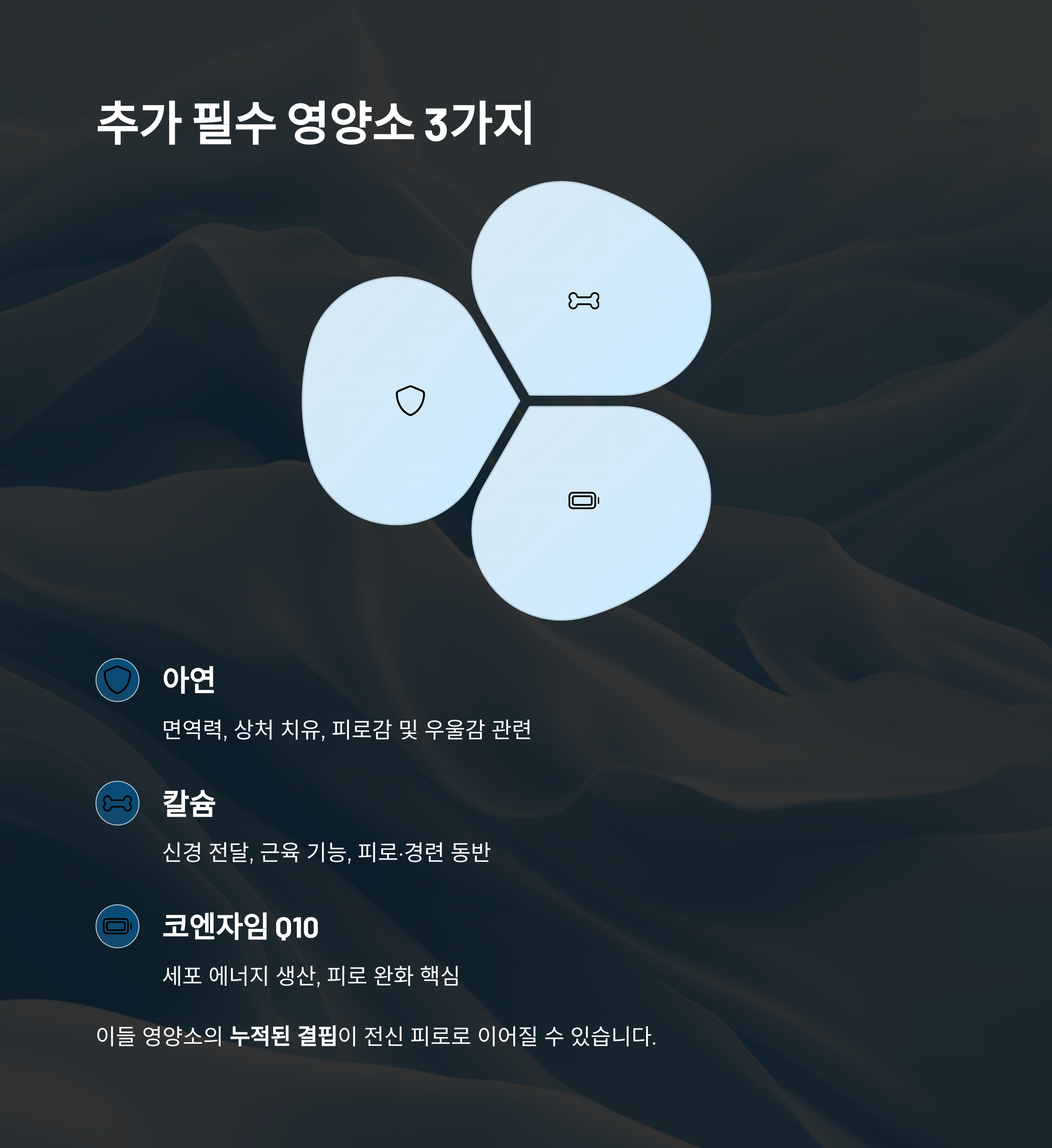 추가 필수 영양소 3가지