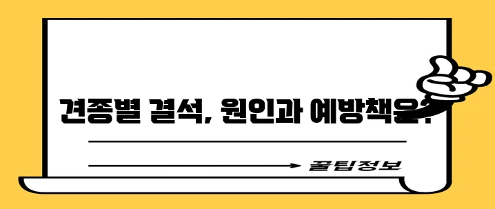 강아지 결석 품종별 특징을 꼼꼼히 알아봐야 합니다.
