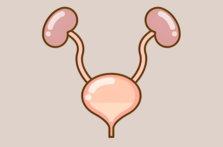 신장-이상-문제