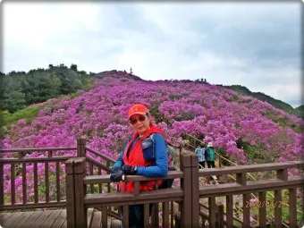 남원 봉화산 철쭉 산행 주차장 등산코스_26