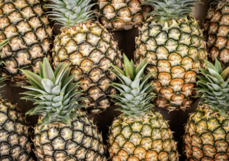 파인애플 효능 부작용 자르는법 식초만들기 등 총정리(최신)