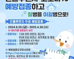 B형 독감 겨울에서 초봄 유행