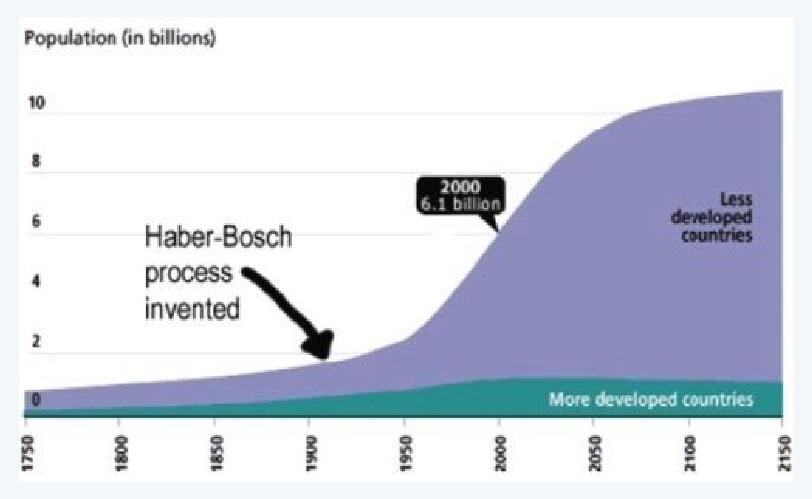 프리츠 하버, 질소