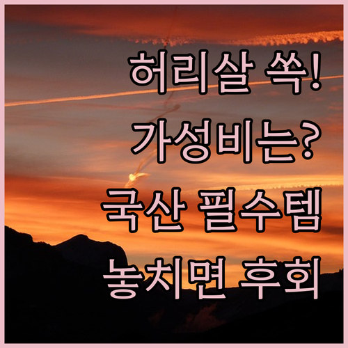 집에서 하는 허리 돌리는 원반 운동기..