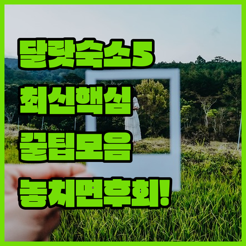 달랏 인기 숙소 5곳 비교 분석 위치..