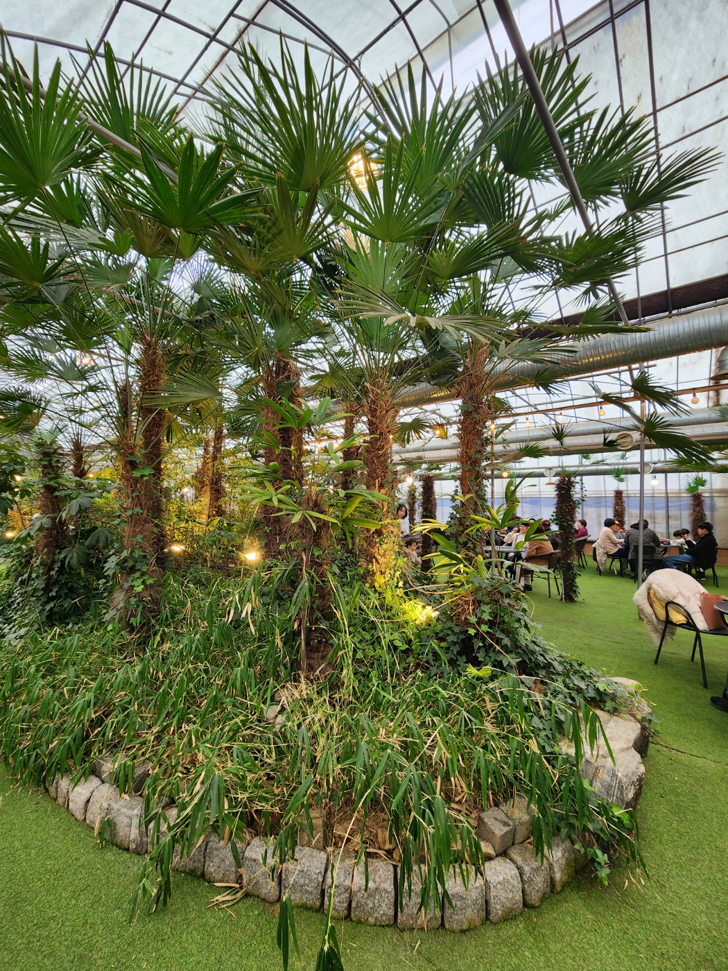 코코테로의 식물들