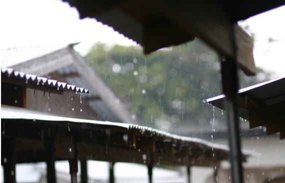 2025년 장마기간