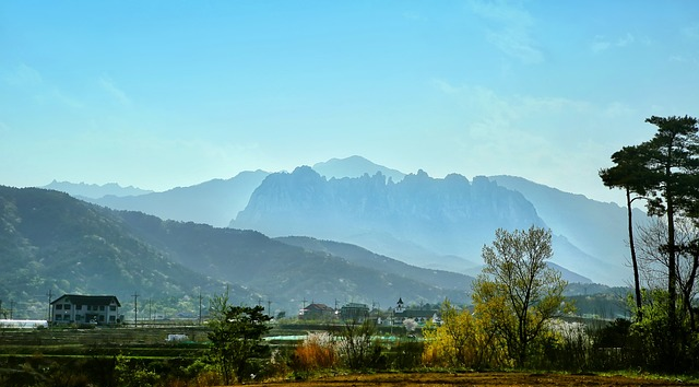농촌 건강 장수 마을 관련 사진