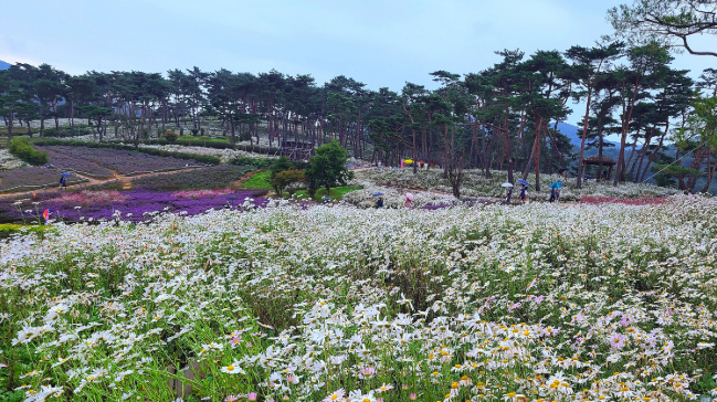 정읍 생활비 줄이는 실제 루틴 &mdash; 정읍에서 생활비를 줄인다는 것은 단순한 절약이 아니라 생활 리듬을 바꾸는 일