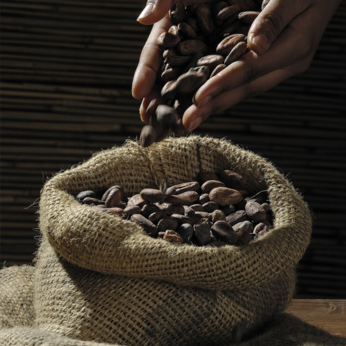 다크초콜릿효능과부작용