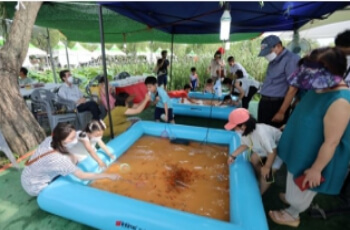 부여서동연꽃축제 체험
