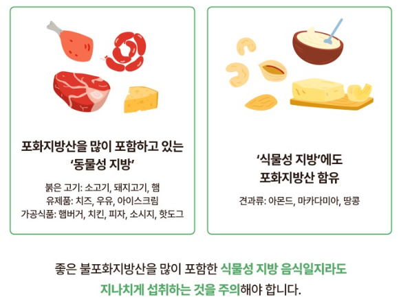 가장 중요한 변화: 지방의 질을 바꾸는 것