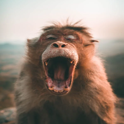 입냄새