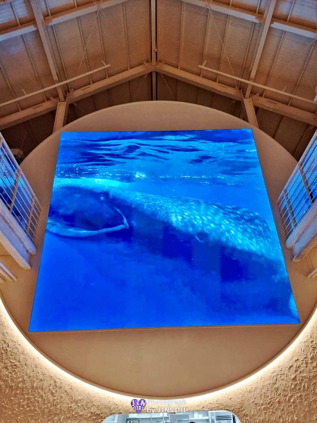 김포 대명항 서울근교드라이브 아이와갈만한곳 대형 베이커리카페 수산공원