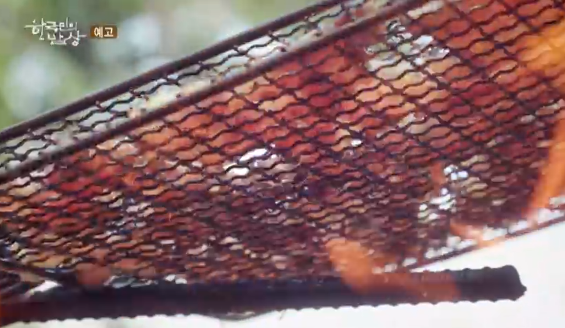 한국인의밥상 봉화 소나무 숯 숯불구이