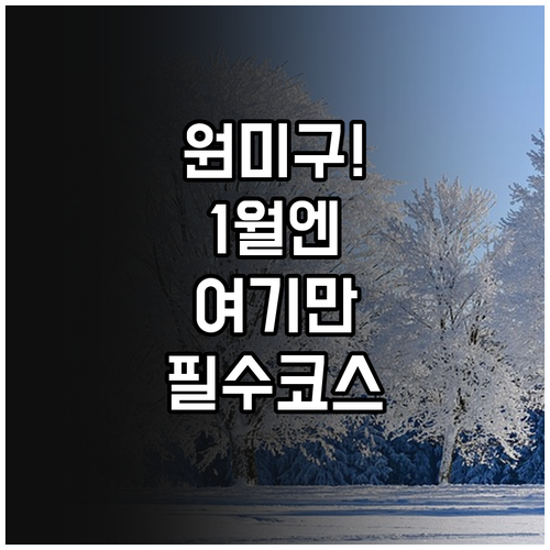부천 원미구 1월 가볼만한곳 나들이 ..