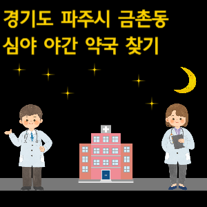 파주시 금촌동 심야 야간 약국 찾기