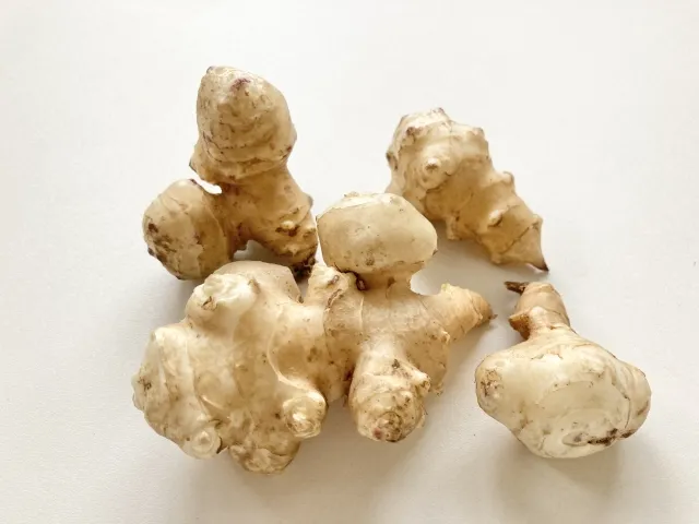 장 내 환경 유지 돼지감자 효능