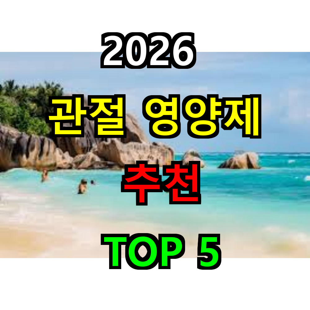 2026 관절영양제 추천 TOP 5