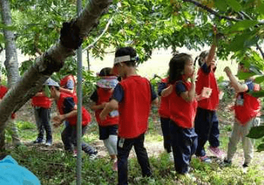 체리양과-브루어리군이-만났을때