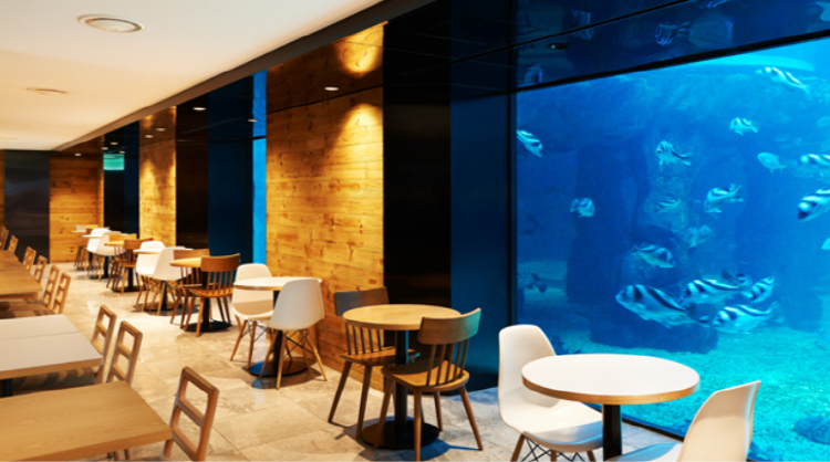 여수 아쿠아플라넷