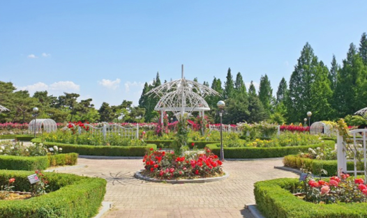 고양 국제 꽃 박람회 전경