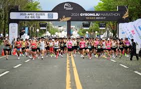 경주 벚꽃 마라톤 관련 사진