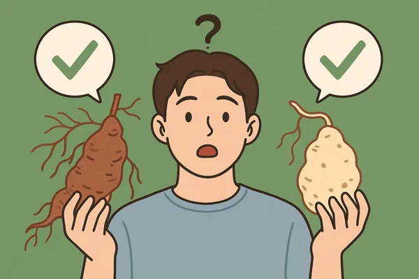 적하수오 백하수오 차이와 효능 비교11