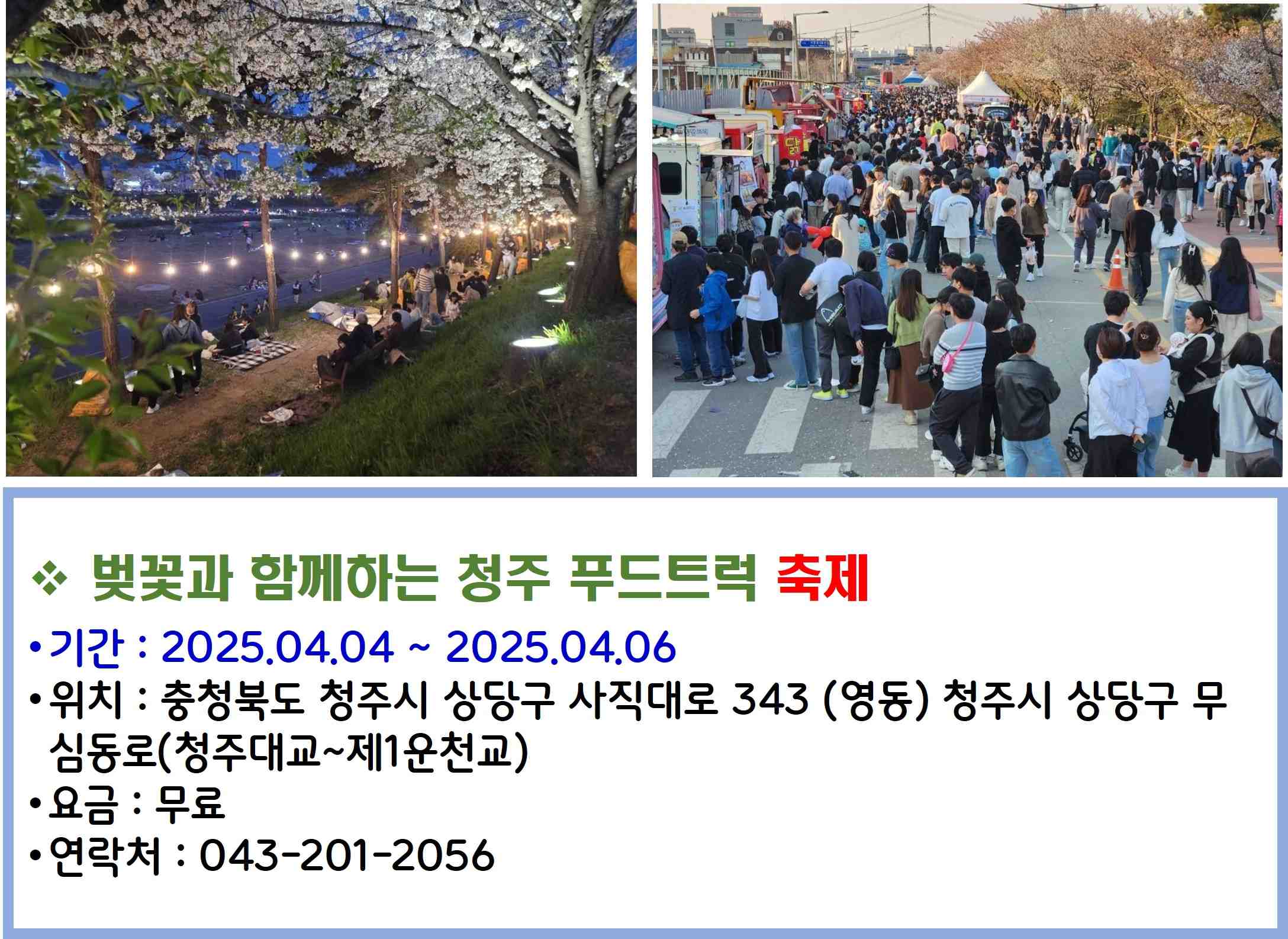 벚꽃과 함께하는 청주 푸드트럭 축제