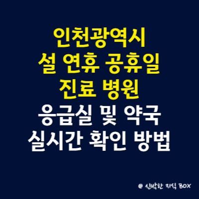 대전광역시 설날 연휴 공휴일 진료 병원 안내, 응급실 및 약국 실시간 확인 방법