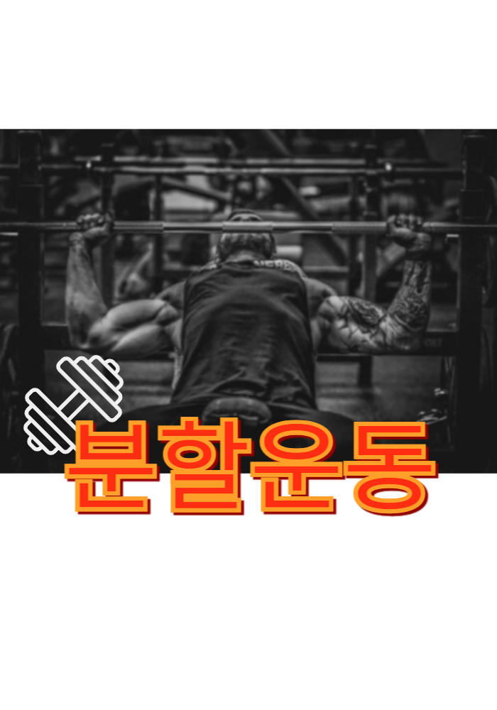 1.분할 운동