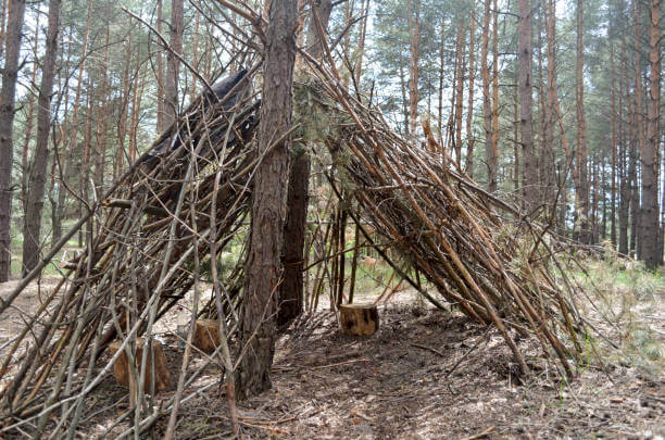 산악지대 생존: 돌과 흙을 이용한 비상 대피소 만들기