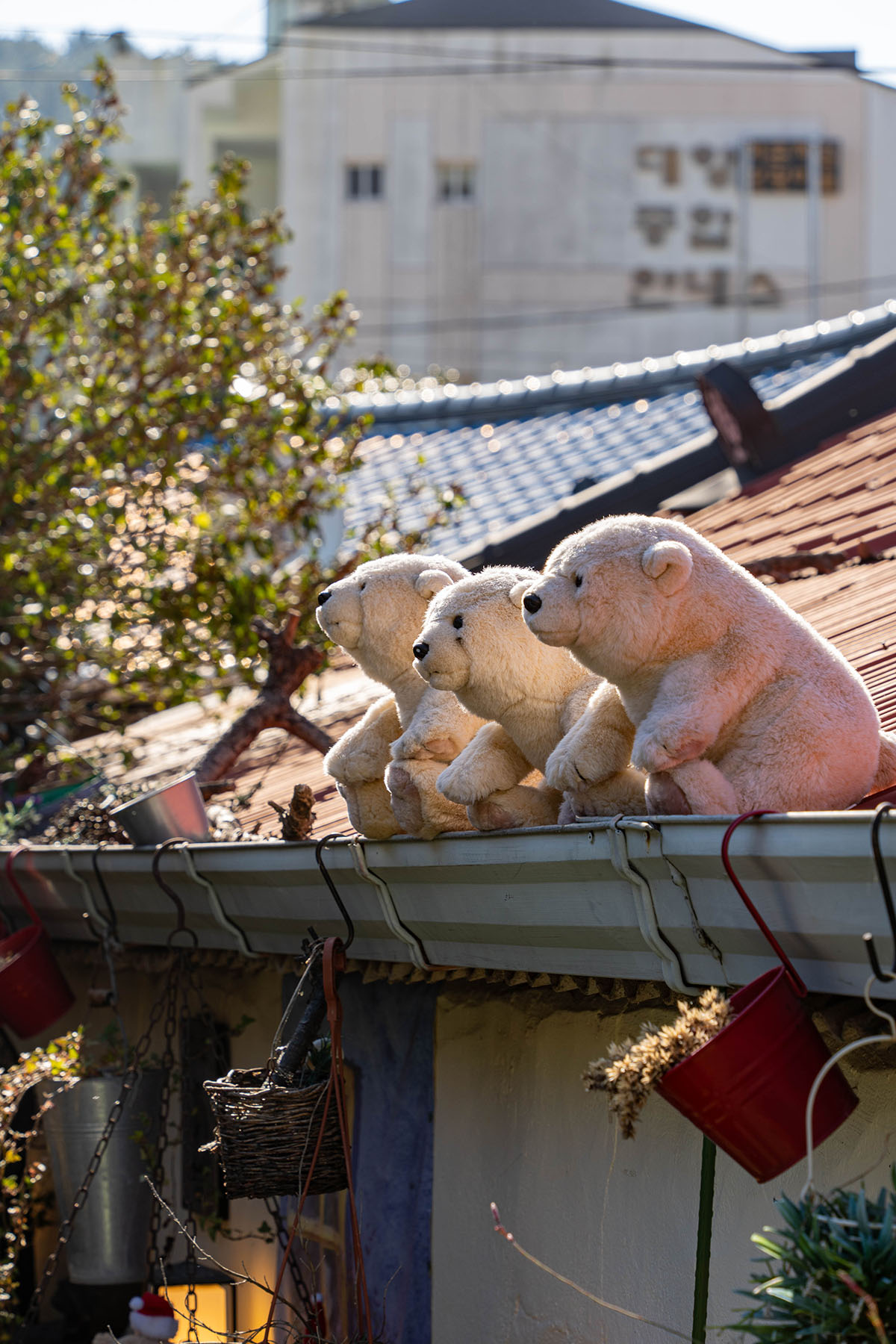 가덕도 1966정원 대항점 입구