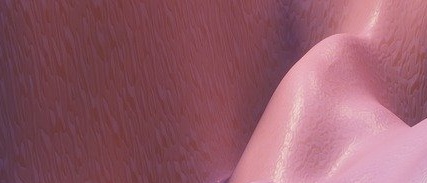 2025 노인 장기요양등급 신청