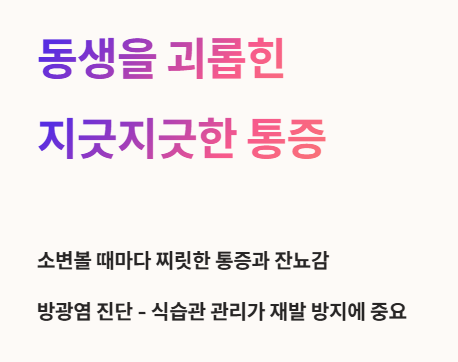 동생을 괴롭힌 지긋지긋한 통증, 방광염